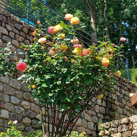 Bâtisse Ardechoise Avec Piscine Casa de Férias *