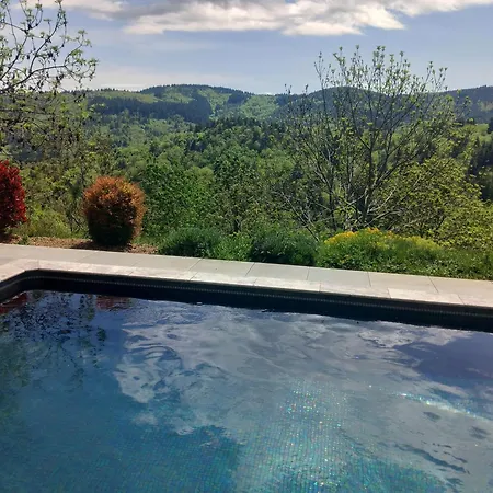 度假居 Batisse Ardechoise Avec Piscine